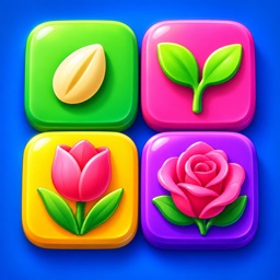 Bloom